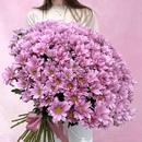 Атлас  - купить цветы и аксессуары в интернет-магазине Дом цветов